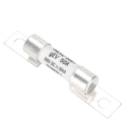 fusibile automobilistico di 10A 15A 20A 25A 30A 35A 40A 45A 50A per i veicoli elettrici