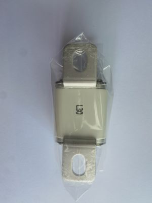 12 - 24 V Fuse di protezione elettrica per veicoli elettrici 3000A con temperatura da -40°C a 125°C