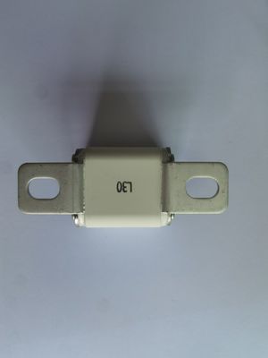 AC2000V/1min EV Protezione del veicolo 30A - 450A Con durata &gt; 3000h